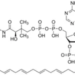 Merck Arachidonoyl coenzyme A lithium salt