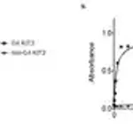 Merck Anti-DNA G-quadruplex structures Antibody, clone BG4