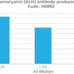 Merck Anti-Hemocyanin (KLH) antibody produced in rabbit