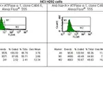Merck Anti-Na+/K+ ATPase α-1 Antibody, clone C464.6, Alexa Fluor 555