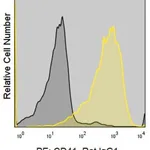 Merck Anti-Mouse CD41 (MWReg30) ColorWheel Dye-Ready mAb