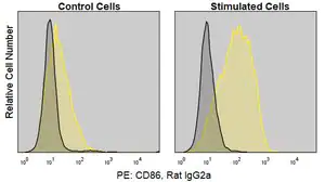 Merck Anti-Mouse CD86/B7-2 (GL-1) ColorWheel Dye-Ready mAb