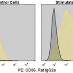 Merck Anti-Mouse CD86/B7-2 (GL-1) ColorWheel Dye-Ready mAb