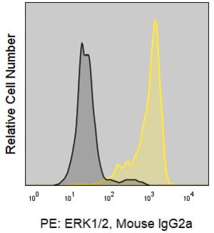 Merck Anti-Human ERK1/ERK2 (SB46b) ColorWheel Dye-Ready mAb