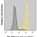 Merck Anti-Human ERK1/ERK2 (SB46b) ColorWheel Dye-Ready mAb