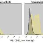 Merck Anti-Mouse CD80 (16-10A1) ColorWheel Dye-Ready mAb
