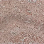 Merck Anti-Fetuin A antibody, Mouse monoclonal
