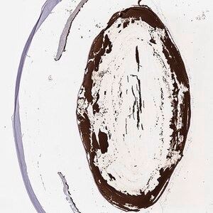 Merck Anti-CRYBB1 antibody produced in rabbit