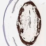 Merck Anti-CRYBB1 antibody produced in rabbit