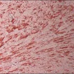 Merck Anti-Connexin 43 antibody, Mouse monoclonal