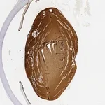 Merck Anti-CRYBB2 antibody produced in rabbit