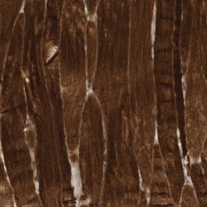 Merck Anti-USP53 antibody produced in rabbit