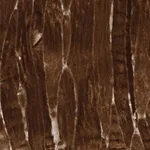 Merck Anti-USP53 antibody produced in rabbit