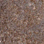 Merck Anti-UGCG antibody produced in rabbit