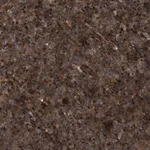 Merck Anti-CBR3 antibody produced in rabbit