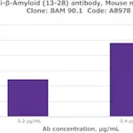 Merck Anti-β-Amyloid (13-28) antibody, Mouse monoclonal