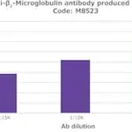 Merck Anti-β2-Microglobulin antibody produced in rabbit