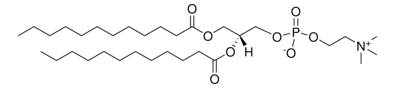 Merck 12:0 PC (DLPC)
