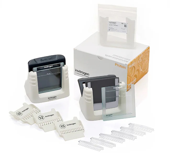 Thermo Fisher Scientific SureCast Gel Handcast Bundle B - Hardware Only