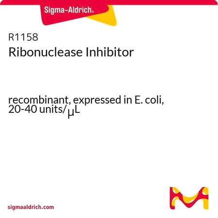 Merck Ribonuclease Inhibitor
