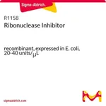 Merck Ribonuclease Inhibitor