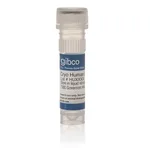 Thermo Fisher Scientific HEP10, Pooled Human Cryopreserved Hepatocytes