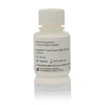 Thermo Fisher Scientific MagMAX Cell-Free DNA Elution Solution