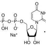 Merck URIDINE 5``-DIPHOSPHATE DISODIUM S&