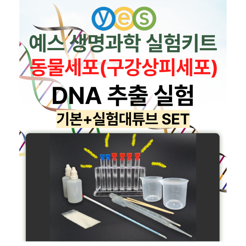 YES D2 DNA추출키트 (구강상피세포)