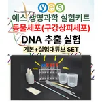 YES D2 DNA추출키트 (구강상피세포)