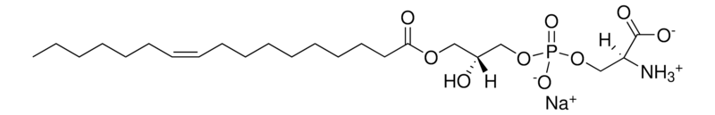 Merck 17:1 Lyso PS