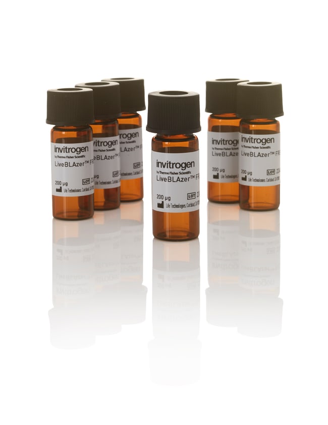 Thermo Fisher Scientific LiveBLAzer FRET-B/G Loading Kit with CCF4-AM, 5 mg