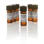 Thermo Fisher Scientific LiveBLAzer FRET-B/G Loading Kit with CCF4-AM, 5 mg