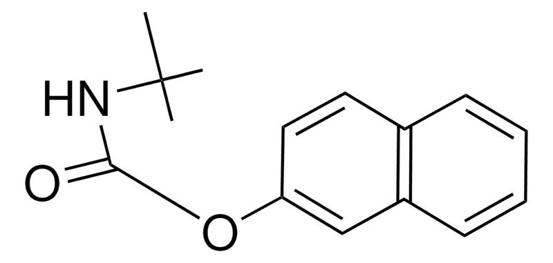Merck 2-NAPHTHYL N-TERT-BUTYLCARBAMA - 50 MG&