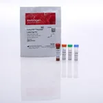 Thermo Fisher Scientific SelectFX Nuclear Labeling Kit (DAPI, SYTOX Green, 7-AAD, TO-PRO-3 Iodide), for fixed cells