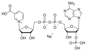 Merck NICOTINIC ACID ADENINE DINUCLEOTIDE