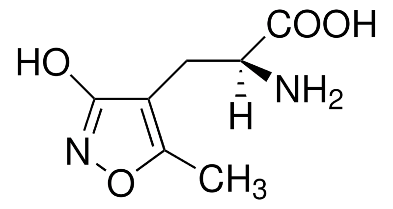 Merck (S)-AMPA