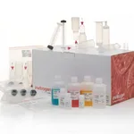 Thermo Fisher Scientific PureLink Fast Low-Endotoxin Midi Plasmid Purification Kit, 25 Preps