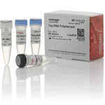 Thermo Fisher Scientific Taq DNA Polymerase, native, 100 Units