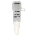 Thermo Fisher Scientific SduI, Ppu21I Buffer (10X)