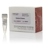 Thermo Fisher Scientific Random Primers