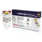 Thermo Fisher Scientific Tru1I (MseI), HC (50 U/μL)