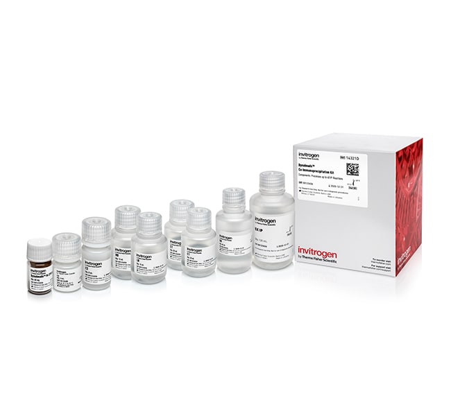 Thermo Fisher Scientific Dynabeads Co-Immunoprecipitation Kit