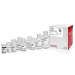 Thermo Fisher Scientific Dynabeads Co-Immunoprecipitation Kit