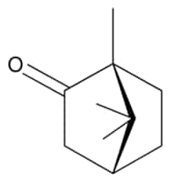 Merck CAMPHOR