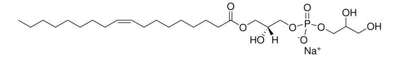 Merck 18:1 Lyso PG