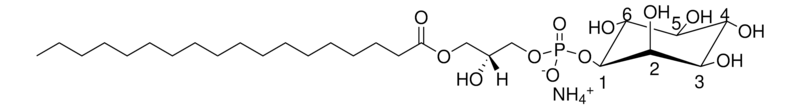 Merck 18:0 Lyso PI