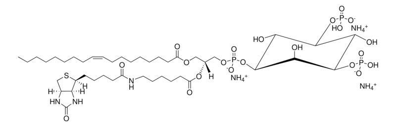 Merck 18:1-6:0 Biotin PI(3,5)P2