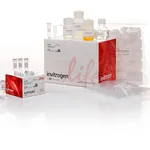 Thermo Fisher Scientific Precision gRNA Synthesis Kit
