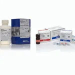 Thermo Fisher Scientific AmpFLSTR Identifiler Direct PCR Amplification Kit & Prep-n- Go Buffer, for buccal swabs, 200 reactions